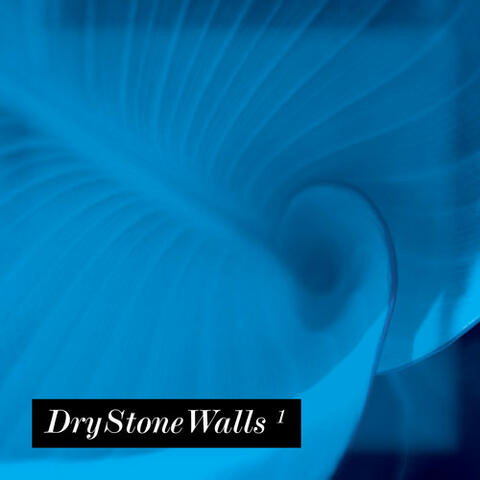 Drystonewalls 1