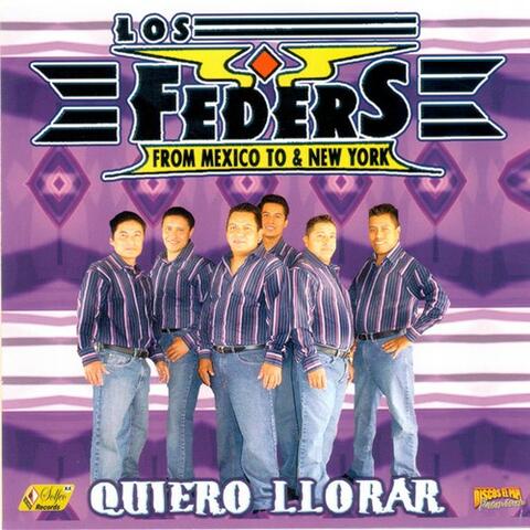 Quiero Llorar (100% Cumbia Sonidera)