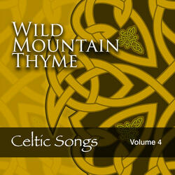 Theme from Local Hero (From "Local Hero")
