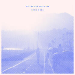 Portmerion Tide Flow