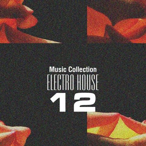 Music Collection. Electro House, Vol. 12