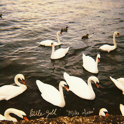 Mike Swan