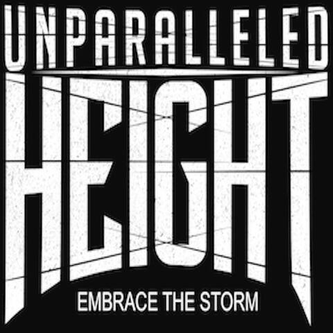 Embrace the Storm - Single