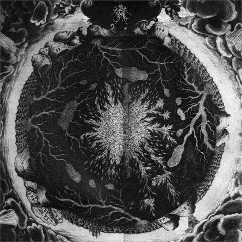 Luciform