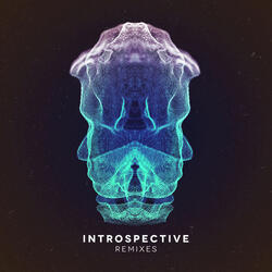 Introspective