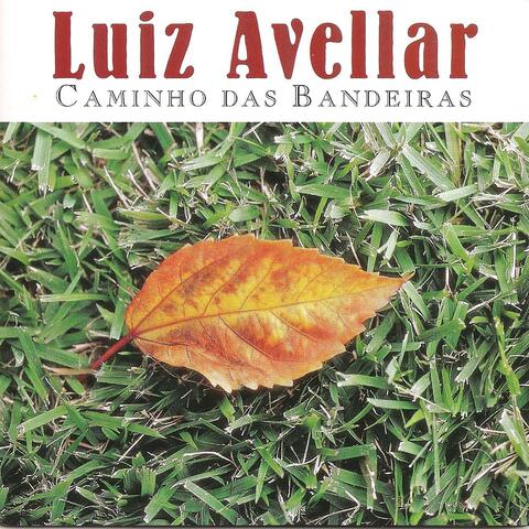 Luiz Avellar