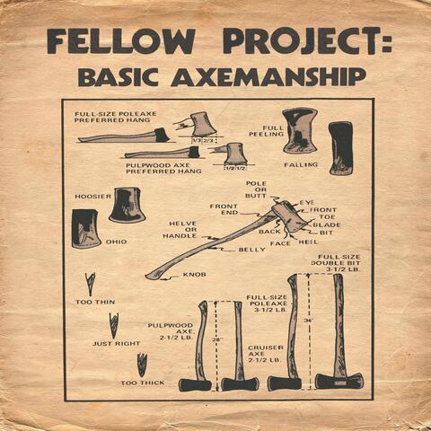 Fellow Project