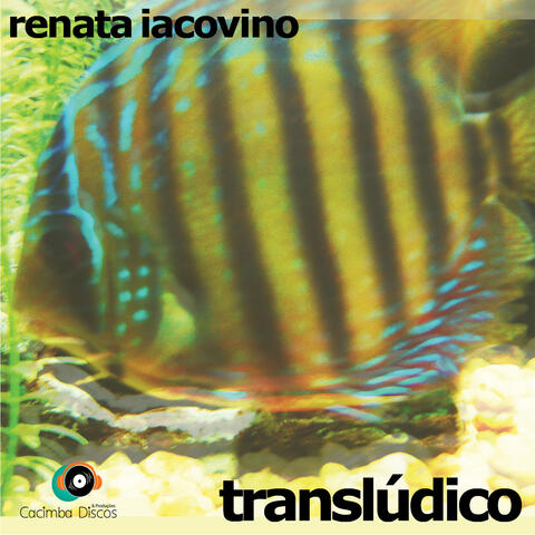 Translúdico