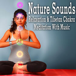 Bring Peace to the Unsettled Mind (Music with Forest Sounds)