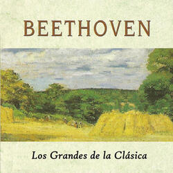 Violin Concerto in D Major, Op. 61: II. Larghetto