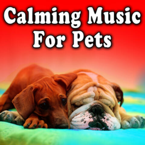 Calming Music for Pets