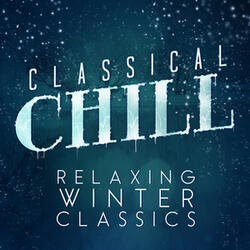 Concerto for Two Violins, Strings and Continuo in D Minor, BWV 1043: II Largo ma non tanto