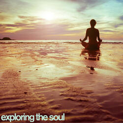 Exploring the Soul