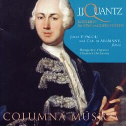 Concert en Sol Major N.161 per a Flauta, Cordes i Continu (Katalog Friedrich II Berlin ca.1754): I. Allegro