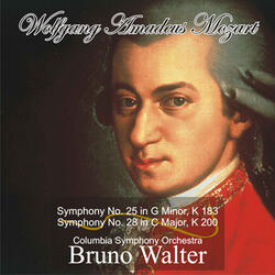 Symphony No. 28 in C Major, K 200: III. Menuetto allegro - Trio