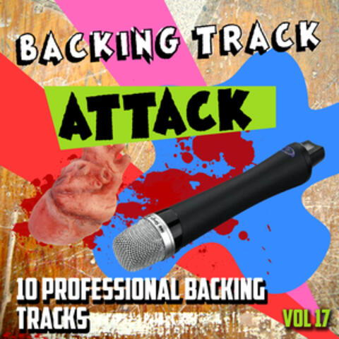 The Backing Track Professionals