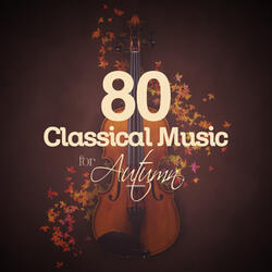 Concerto in A Major for Violin and Guitar: I. Allegro