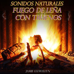 Sonidos Naturales: Fuego de Leña Con Truenos