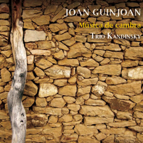 Joan Guinjoan: Música de Cambra