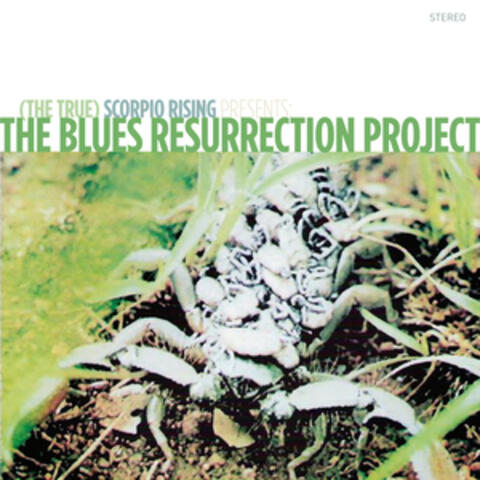 The Blues Resurrection Project