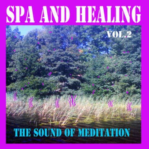 Spa and Healing, Vol. 2