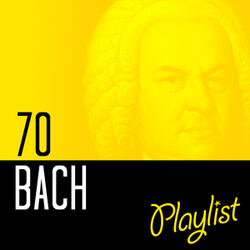 Violin Concerto No. 2 in E Major, BWV 1042: I. Allegro