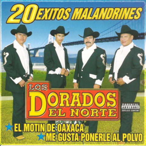 20 Exitos Malandrines