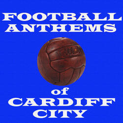The Cardiff City Sound