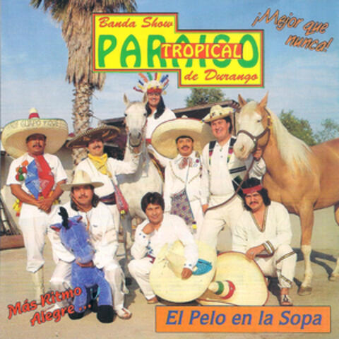 El Pelo en la Sopa