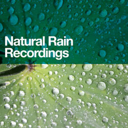 Raining Down