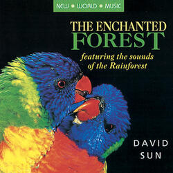 Enchanted Forest, Pt. 2
