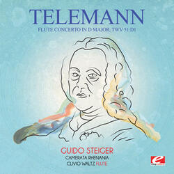 Flute Concerto in D Major, TWV 51:D1: IV. Allegro