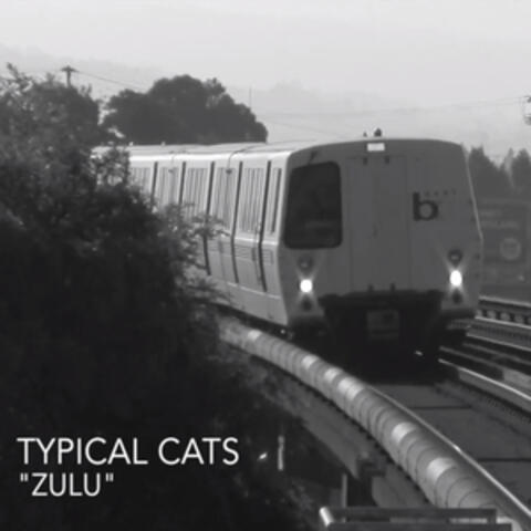 Typical Cats
