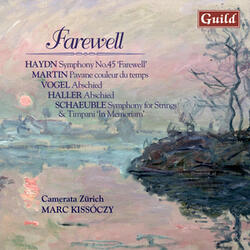 Symphony for Strings & Timpani, Op.27 'In memoriam': II. Allegro - Meno mosso - Large