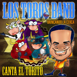 Dejame Particiar en Tu Juego