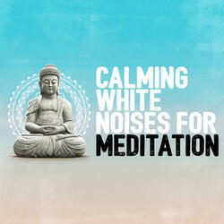 White Noise: White Noise