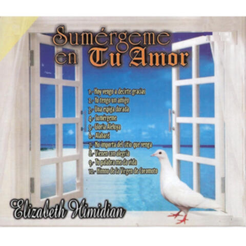 Sumergeme en Tu Amor, Vol. 9