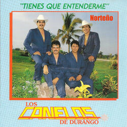 Entre Cerros y Pinos