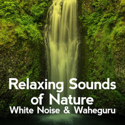 White Noise: Microwaves