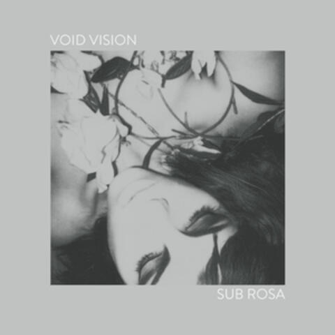 Void Vision