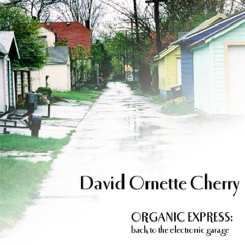 Organic Express: Back to the Electronic Garage