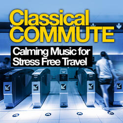Nocturne No. 20 in C Sharp Minor, Op. posth.