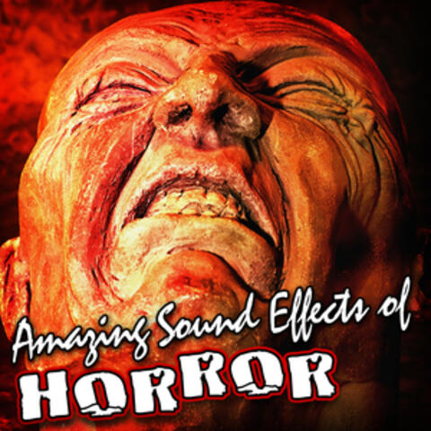 Amazing Sound Effects of Horror
