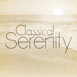 Concerto for Two Violins, Strings and Continuo in D Minor, BWV 1043: II Largo ma non tanto