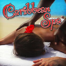 White Sand Beach - Gentle Oceanside Surf