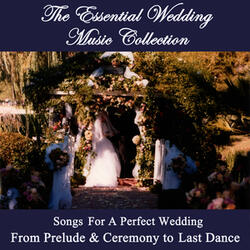 Friends Are Quiet Angels - The Friendship Song (Pop Vocal - Song for Bridesmaids and Maid of Honor, Processional, Tribute Song to Friends)