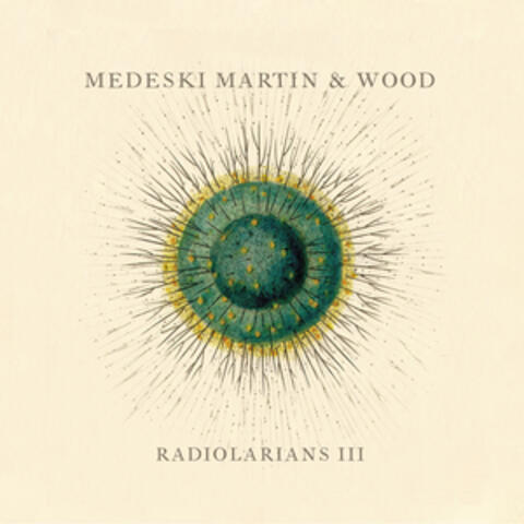 Radiolarians III