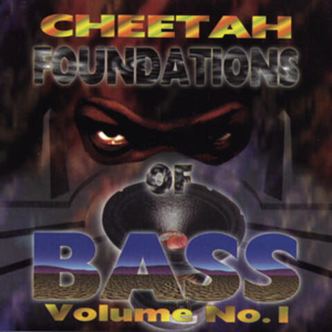 Foundations Of Bass Vol. 1