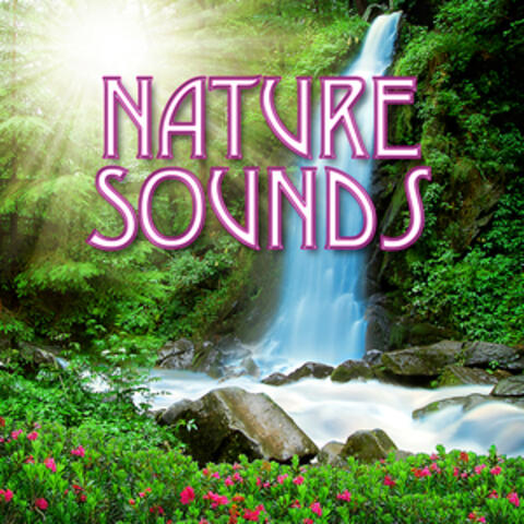 Nature's Rhythms