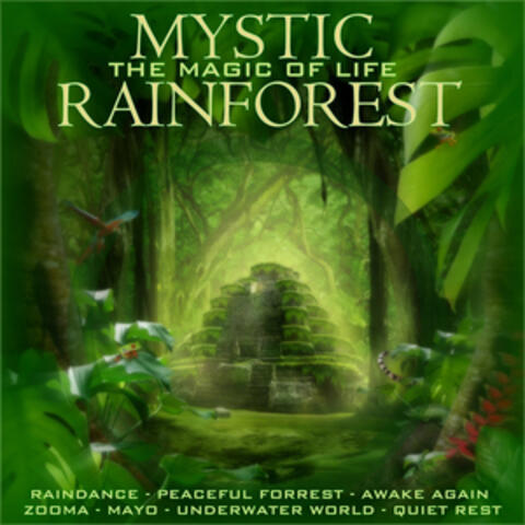 Mystic Rain Forest: The Magic of Life
